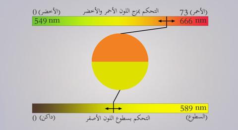 مقياس شذوذ إبصار اللون