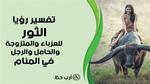 تفسير الهروب من الثور في الحلم