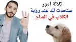 تفسير حلم الكلاب الكثيرة في المنام
