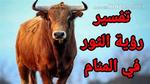 تفسير حلم هجوم الثور في المنام