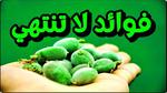 فوائد تناول اللوز يومياً لصحة الجسم