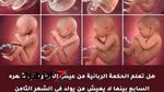 هل يعيش الطفل المولود في الشهر الثامن؟