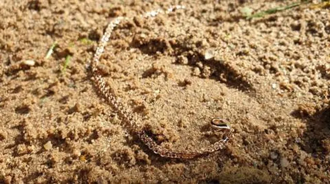 تفسير رؤية ضياع الذهب في المنام وحلم العثور عليه