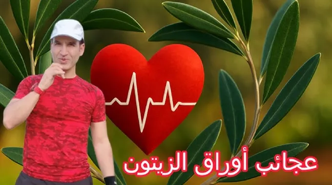 الدهون الحشوية وتأثيرها على شيخوخة القلب