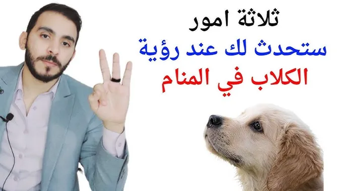 تفسير حلم الكلاب الكثيرة في المنام