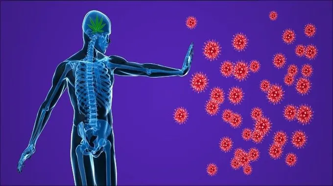 جسم مضاد جديد لعلاج المناعة الذاتية
