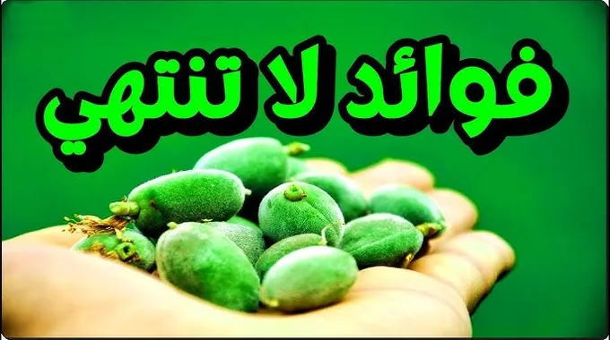 فوائد تناول اللوز يومياً لصحة الجسم
