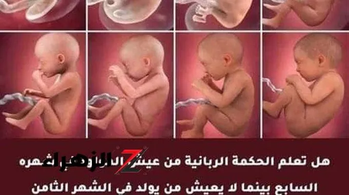 هل يعيش الطفل المولود في الشهر الثامن؟